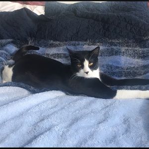 Meet your Posher, Jenny